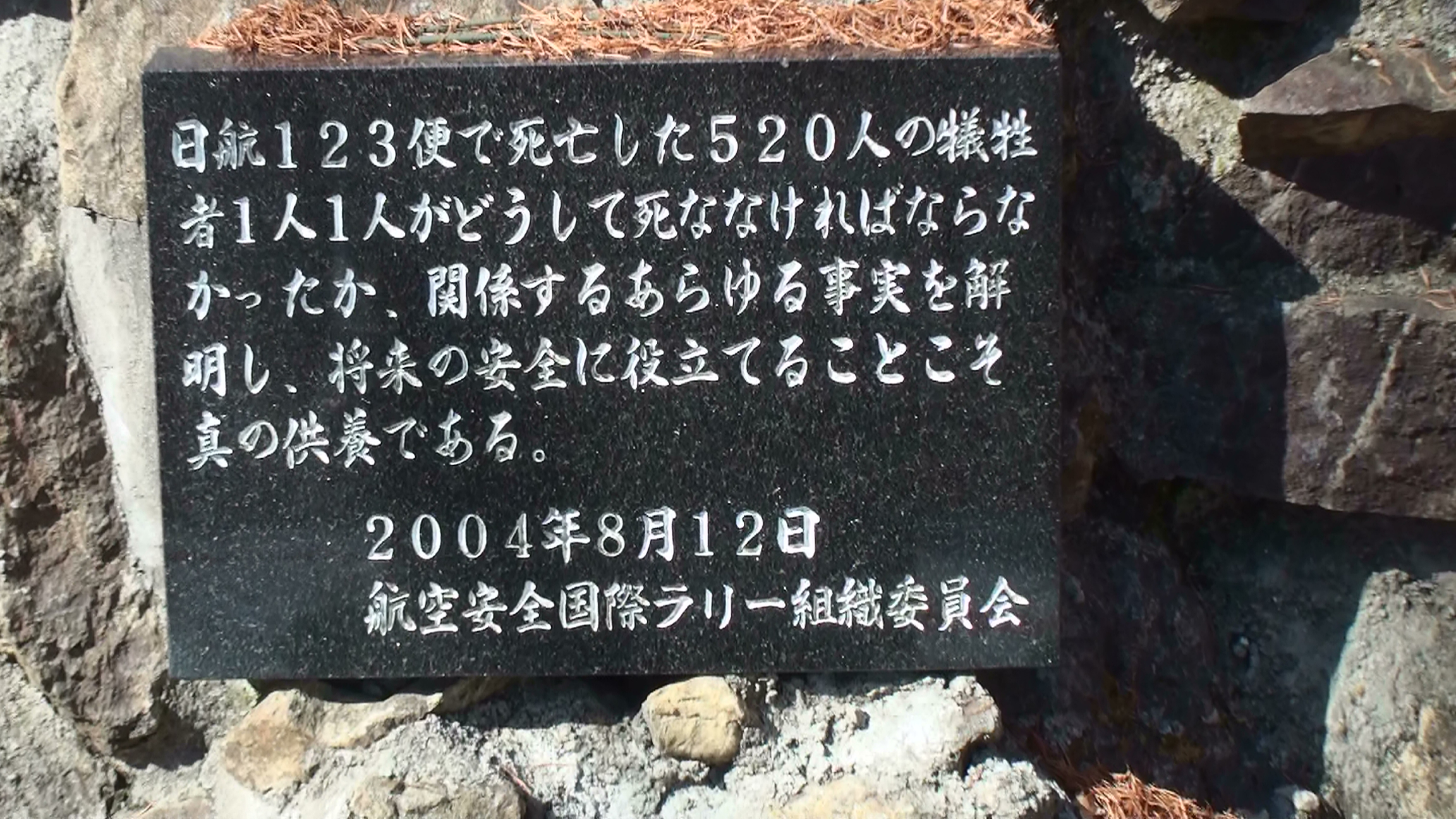 墜落 写真 機 日航 事故