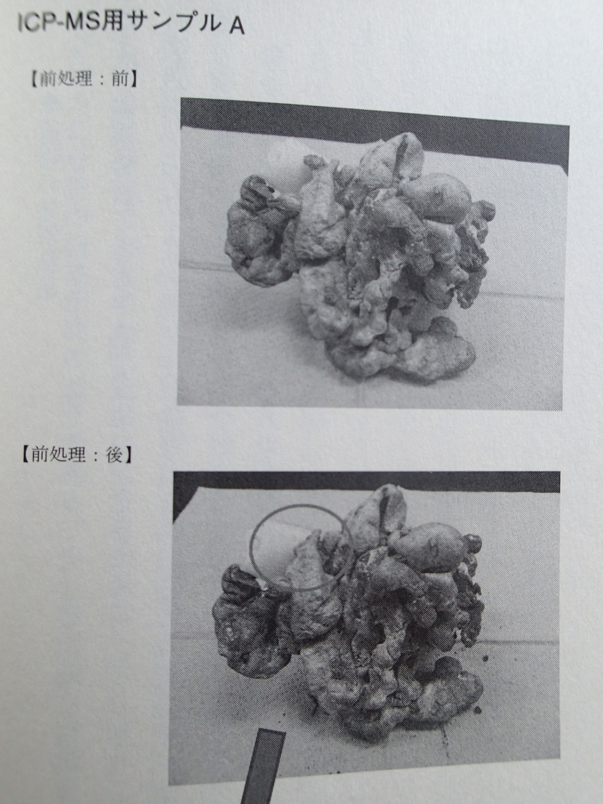 日航 ジャンボ機 墜落 事故 遺体