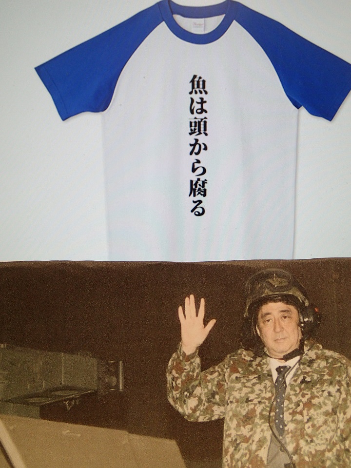 写真6